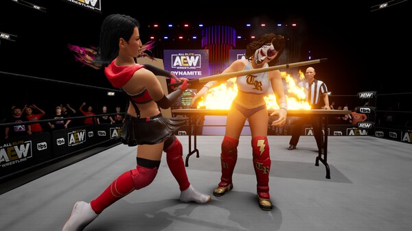 全精英摔角：无限战斗.AEW: Fight Forever