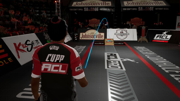 ACL专业布袋球.ACL Pro Cornhole