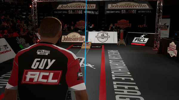 ACL专业布袋球.ACL Pro Cornhole