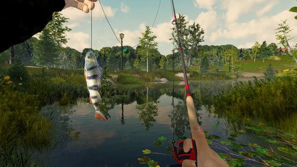钓鱼历险.Fishing Adventure