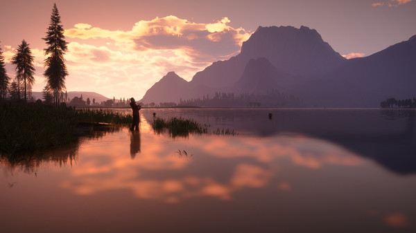 荒野的召唤：垂钓者.Call of the Wild: The Angler