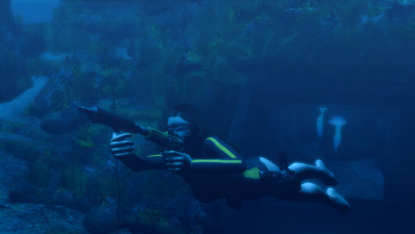 古墓丽影8：地下世界.Tomb Raider: Underworld