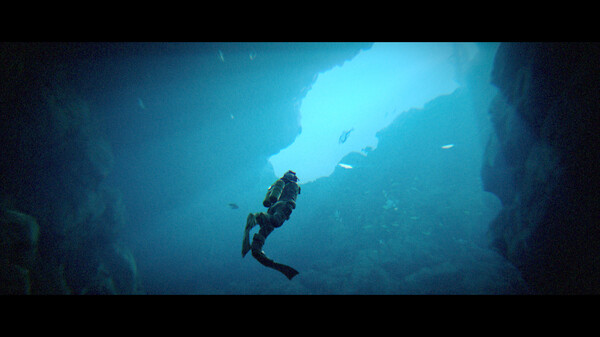 碧波之下.Under The Waves