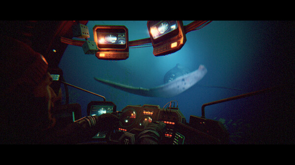 碧波之下.Under The Waves