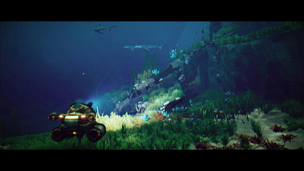 碧波之下.Under The Waves