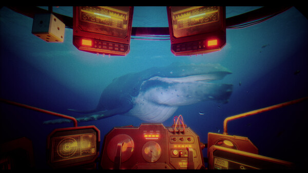 碧波之下.Under The Waves