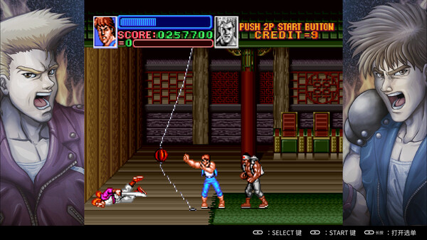 超级双截龙.Double Dragon Bundle