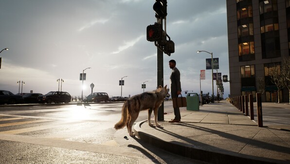 城中之狼.Wolf in the City