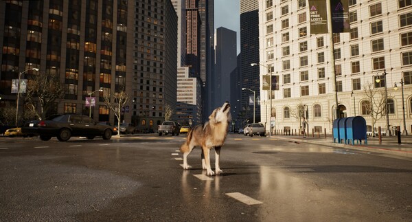城中之狼.Wolf in the City