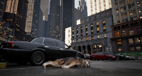 城中之狼.Wolf in the City