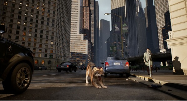 城中之狼.Wolf in the City