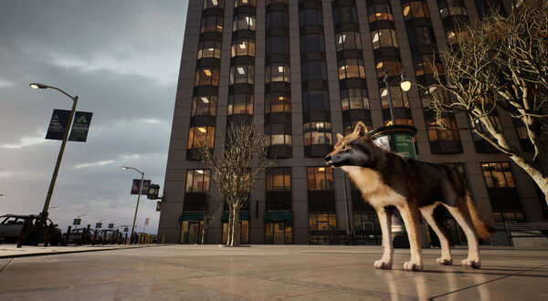 城中之狼.Wolf in the City