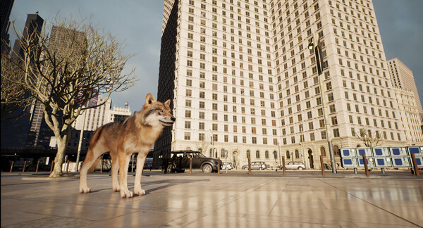 城中之狼.Wolf in the City