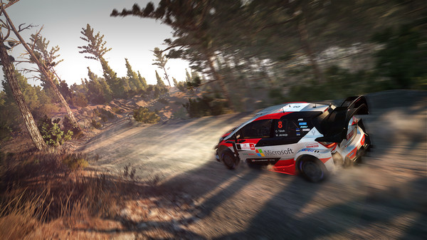 国际汽车联盟世界拉力锦标赛8：豪华版.WRC 8 FIA World Rally Championship Deluxe Edition