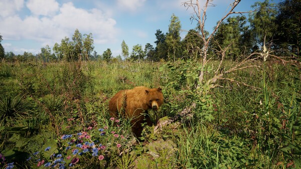 俄罗斯灵魂模拟器.Russian Soul Simulator