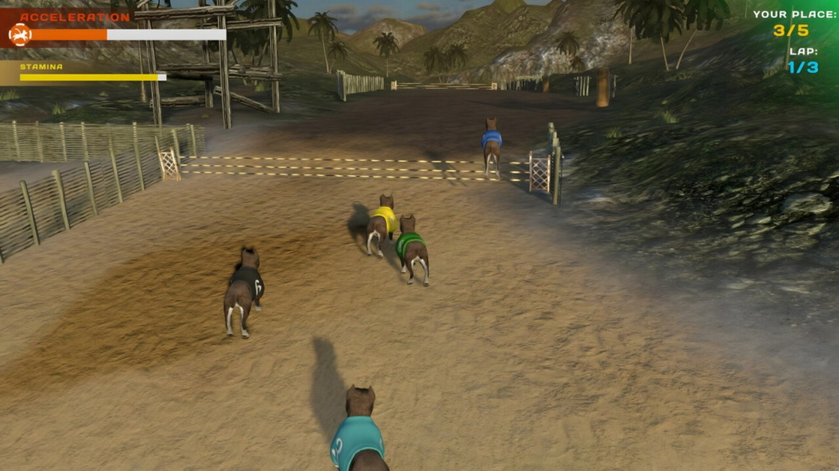 狗狗比赛：可爱爪爪朋友.Dog Racing: Lovely Pet Friends Paw