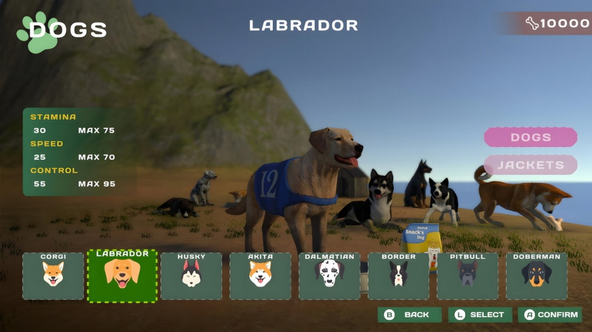 狗狗比赛：可爱爪爪朋友.Dog Racing: Lovely Pet Friends Paw