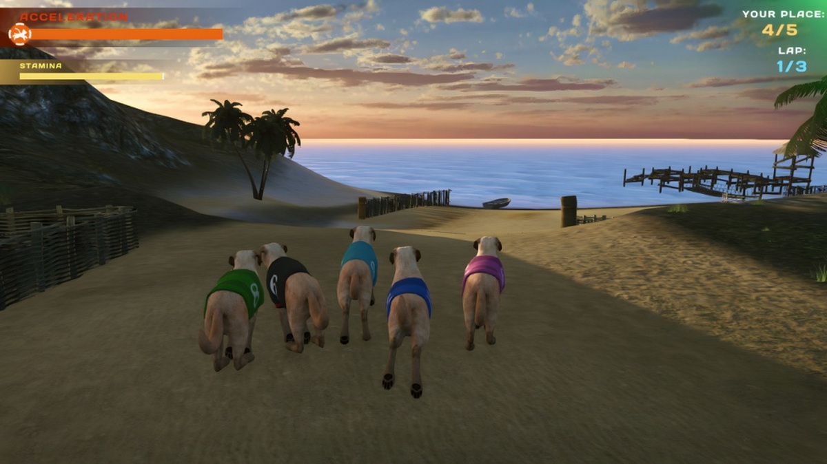 狗狗比赛：可爱爪爪朋友.Dog Racing: Lovely Pet Friends Paw