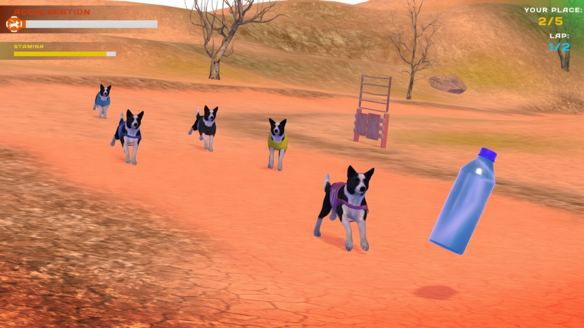 狗狗比赛：可爱爪爪朋友.Dog Racing: Lovely Pet Friends Paw