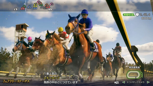 赛马大亨10：2024版.Winning Post 10 2024