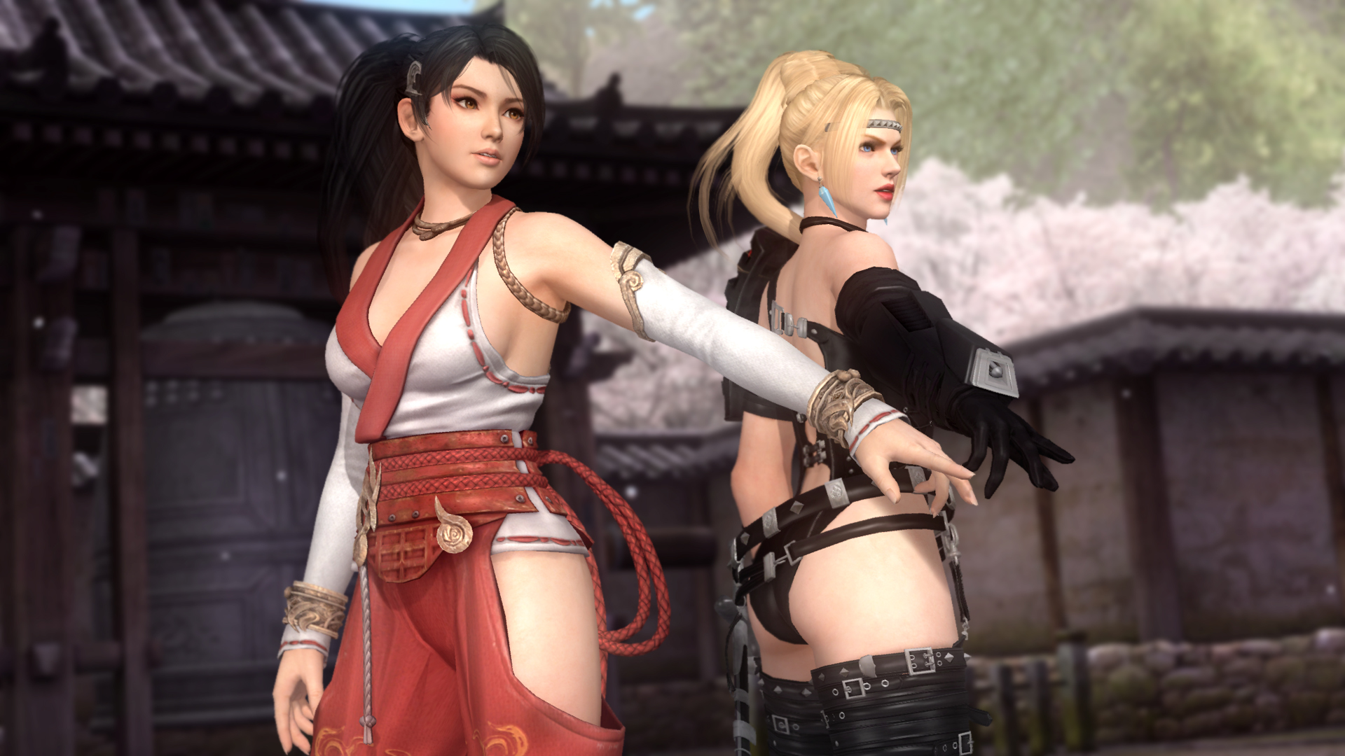 死或生5：最后一战.Dead or Alive 5: Last Round