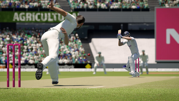 板球2024.Cricket 24