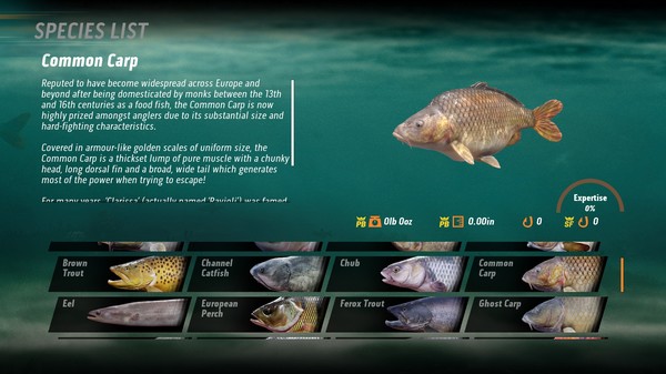 捕鱼：鲤鱼和淡水鱼.The Catch: Carp & Coarse Fishing