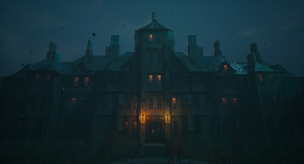 疯人院疯狂：主播的噩梦.Madhouse Madness: Streamer’s Fate