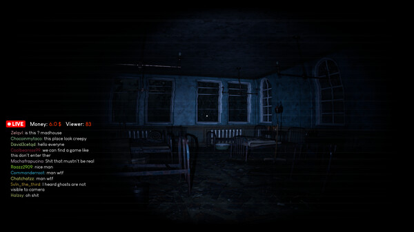 疯人院疯狂：主播的噩梦.Madhouse Madness: Streamer’s Fate