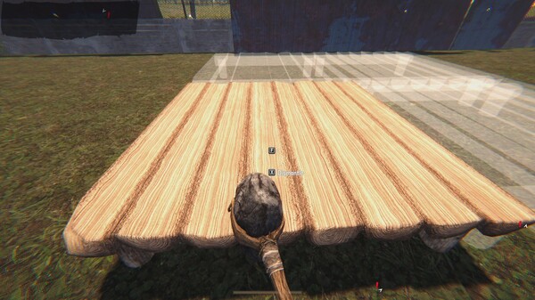 矢量区.Vector Zone