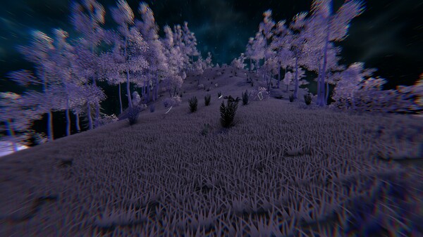 遗失的纸条.A Lost Note
