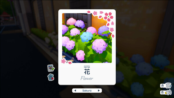 写真语.Shashingo: Learn Japanese with Photography