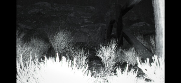 Trailcam