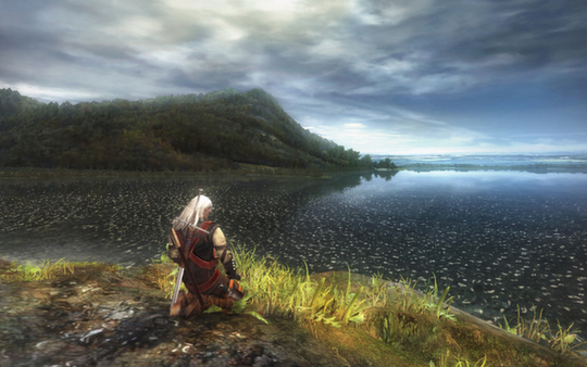 巫师：增强导演剪辑版.The Witcher: Enhanced Edition Director’s Cut