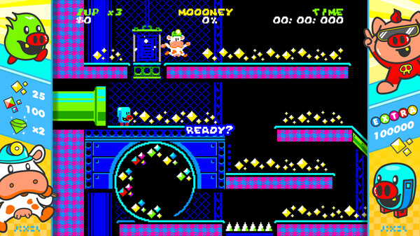 现金牛DX.Cash Cow DX