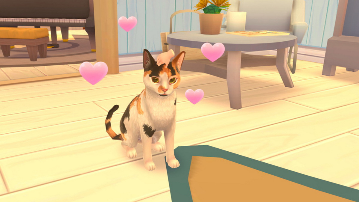 猫咪救援故事.Cat Rescue Story