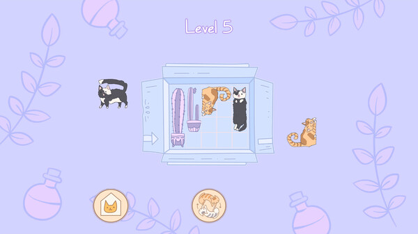 盒中猫.Cats in Boxes