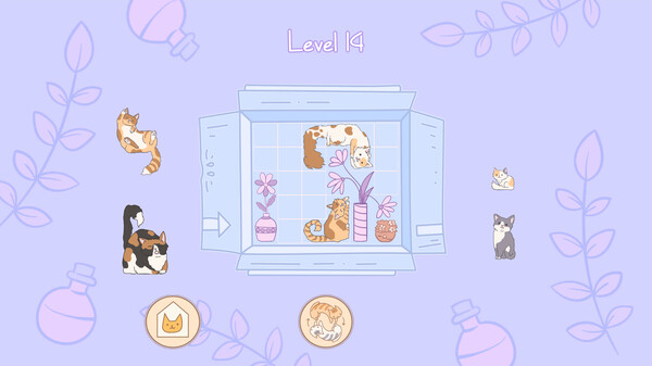 盒中猫.Cats in Boxes