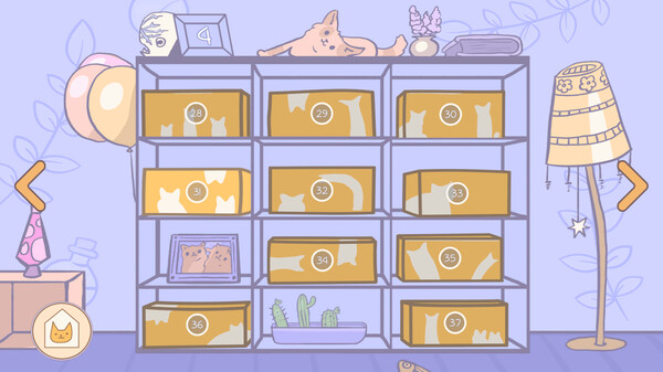 盒中猫.Cats in Boxes