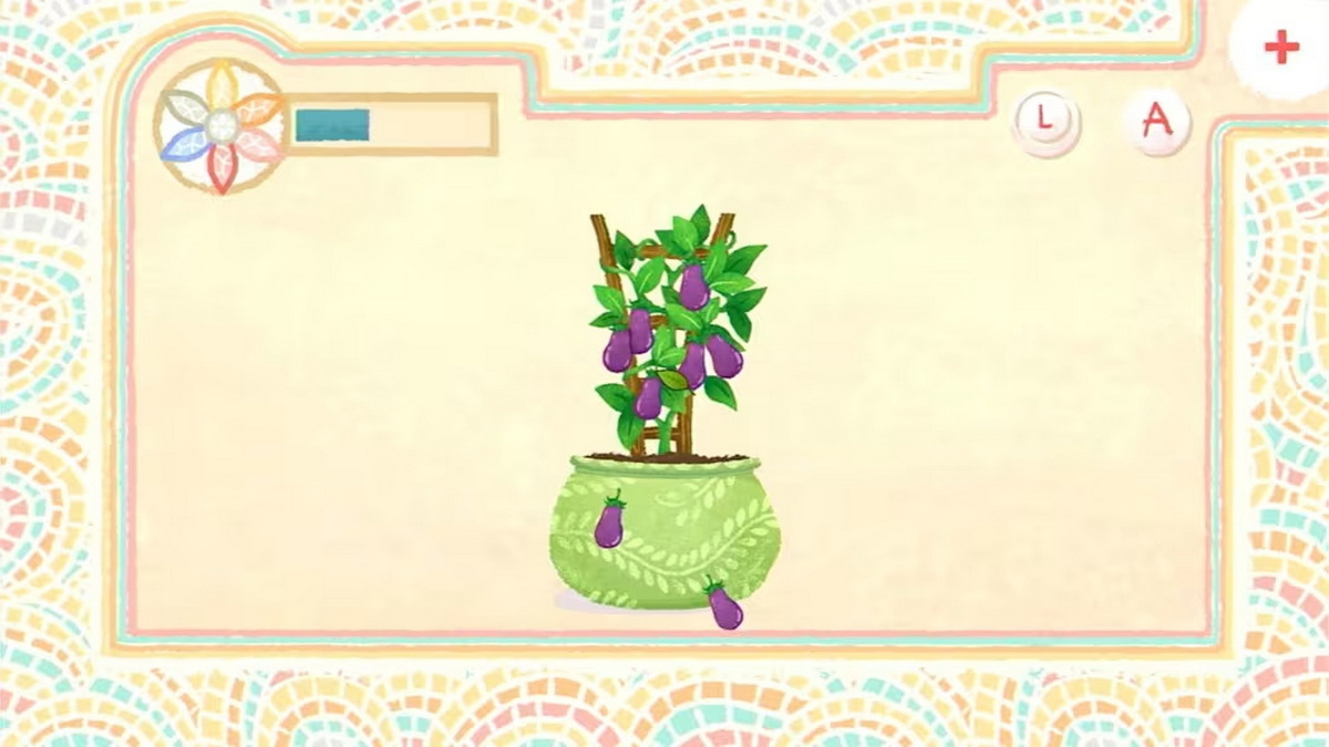 Amelia’s Garden
