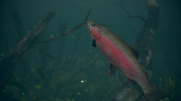 终极钓鱼模拟器2.Ultimate Fishing Simulator 2