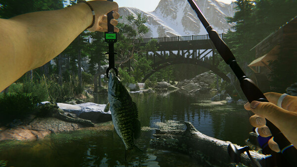 终极钓鱼模拟器2.Ultimate Fishing Simulator 2