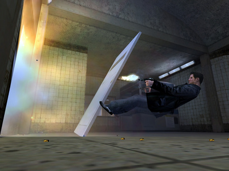 马克思·佩恩.Max Payne