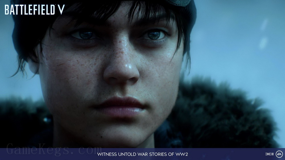 战地风云5.Battlefield V