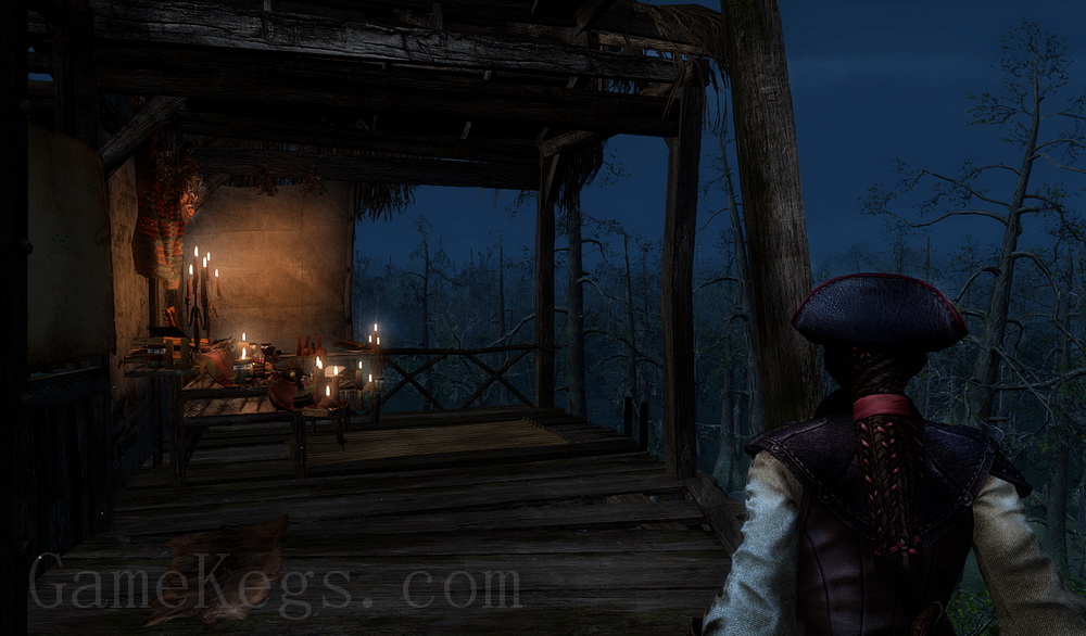 刺客信条3：解放.Assassins Creed Liberation HD
