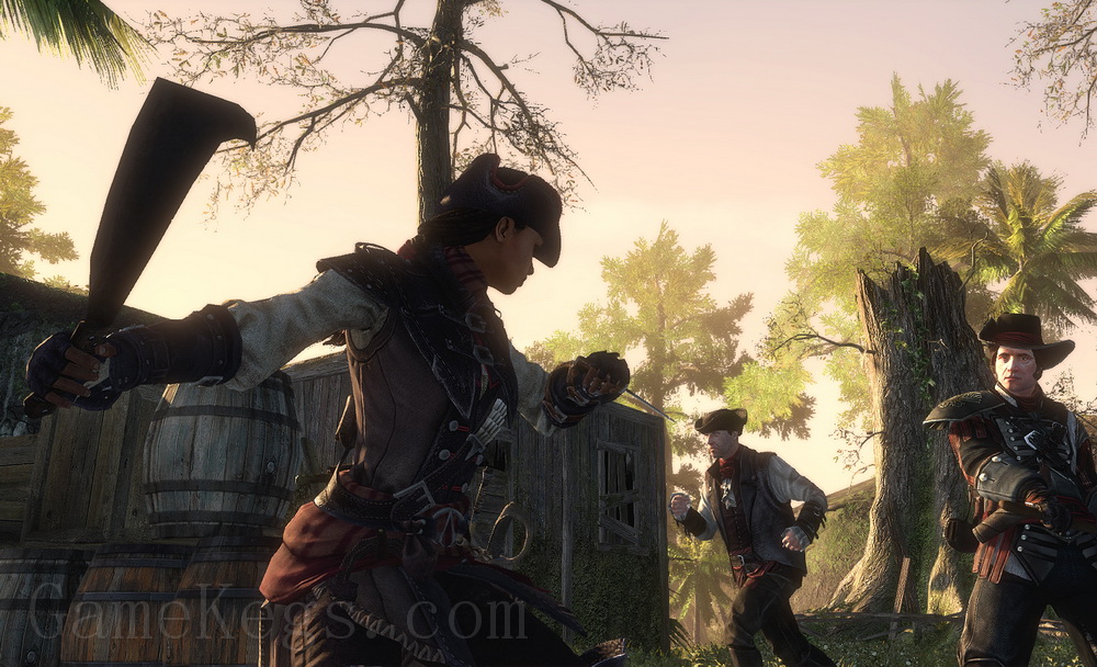 刺客信条3：解放.Assassins Creed Liberation HD