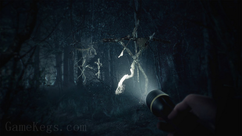 布莱尔女巫.Blair Witch