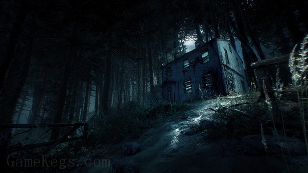 布莱尔女巫.Blair Witch