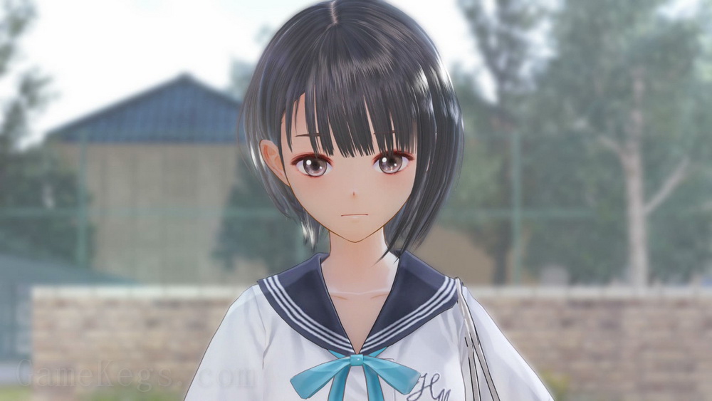 幻舞少女之剑.BLUE REFLECTION