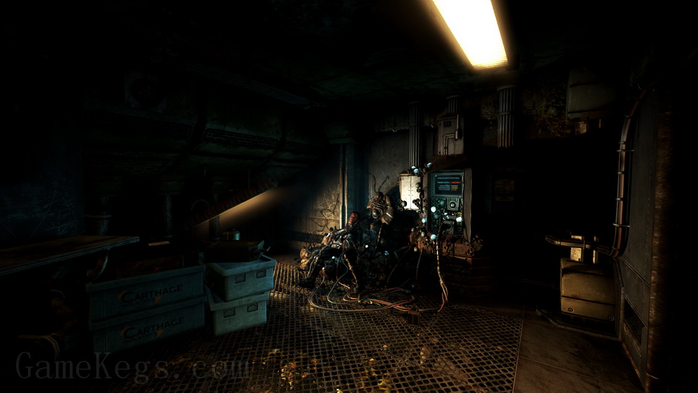 活体脑细胞.SOMA